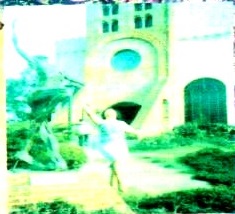 Wedding - Silver Wedding